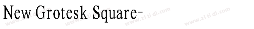 New Grotesk Square字体转换 New Grotesk Square字体转换